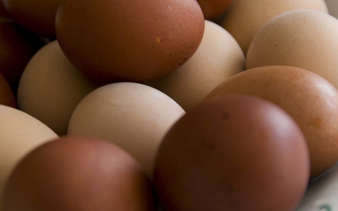 Dolci di Pasqua: ecco la torta uovo