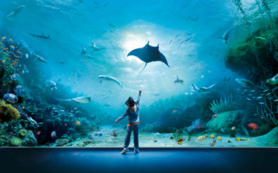 Gli zoo e acquari più belli d'Italia
