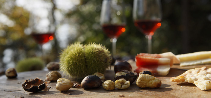 Gite d'autunno nella natura di Merano