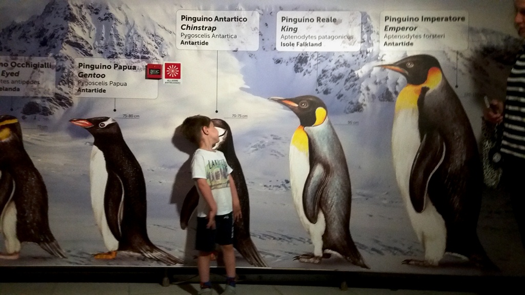 Tutti Pinguini!